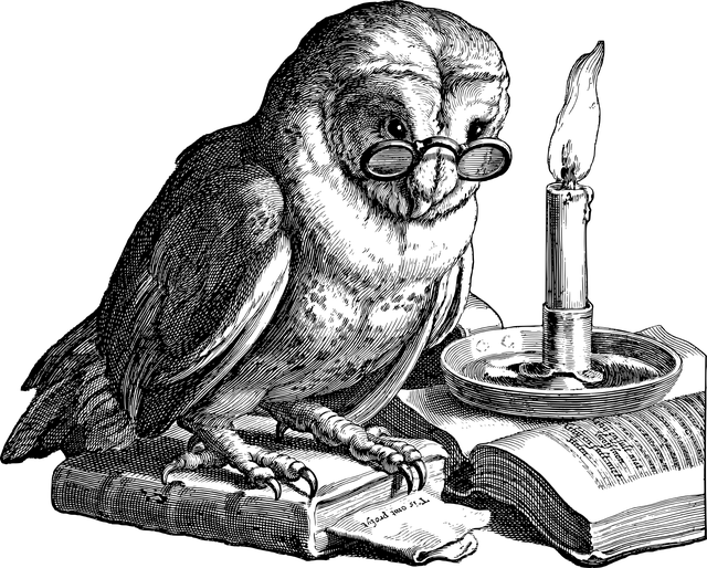 Wortschatzerweiterung